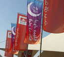 Outdoor Promotional Banner flags